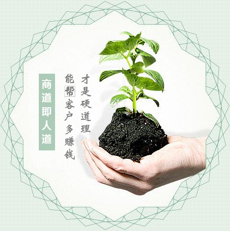 蔬菜種子經(jīng)營，商道即人道