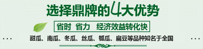 購買蔬菜種子，選擇鼎牌的四大優(yōu)勢