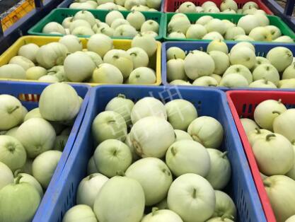 蔬菜種子種植戶客戶點評-5元1斤，這個新品種真香甜！
