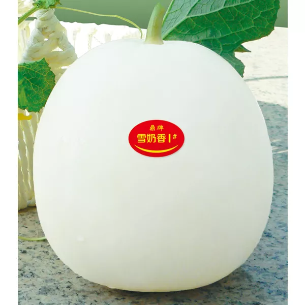薄皮甜瓜，哪個品種最好呢？畝產高達10萬，附4種市場爆款品種
