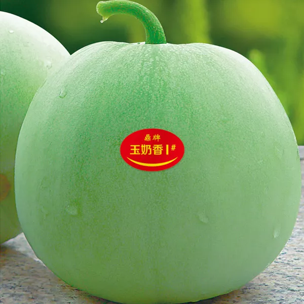 薄皮甜瓜，哪個品種最好呢？畝產高達10萬，附4種市場爆款品種
