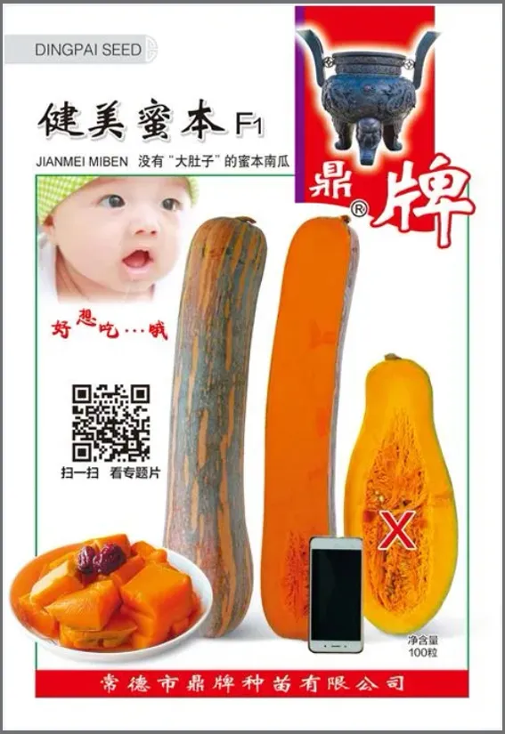 3元1斤的健美蜜本南瓜快成熟了，緬甸種植戶發(fā)來圖片與視頻