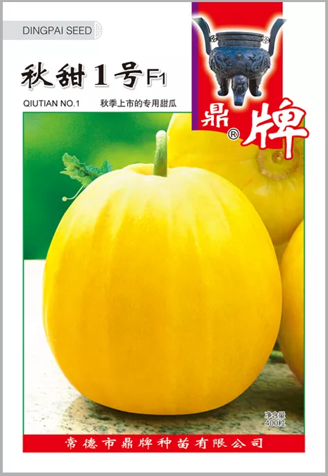 高溫季節(jié)種植甜瓜，什么品種最好？這個品種是秋季上市的專用品種