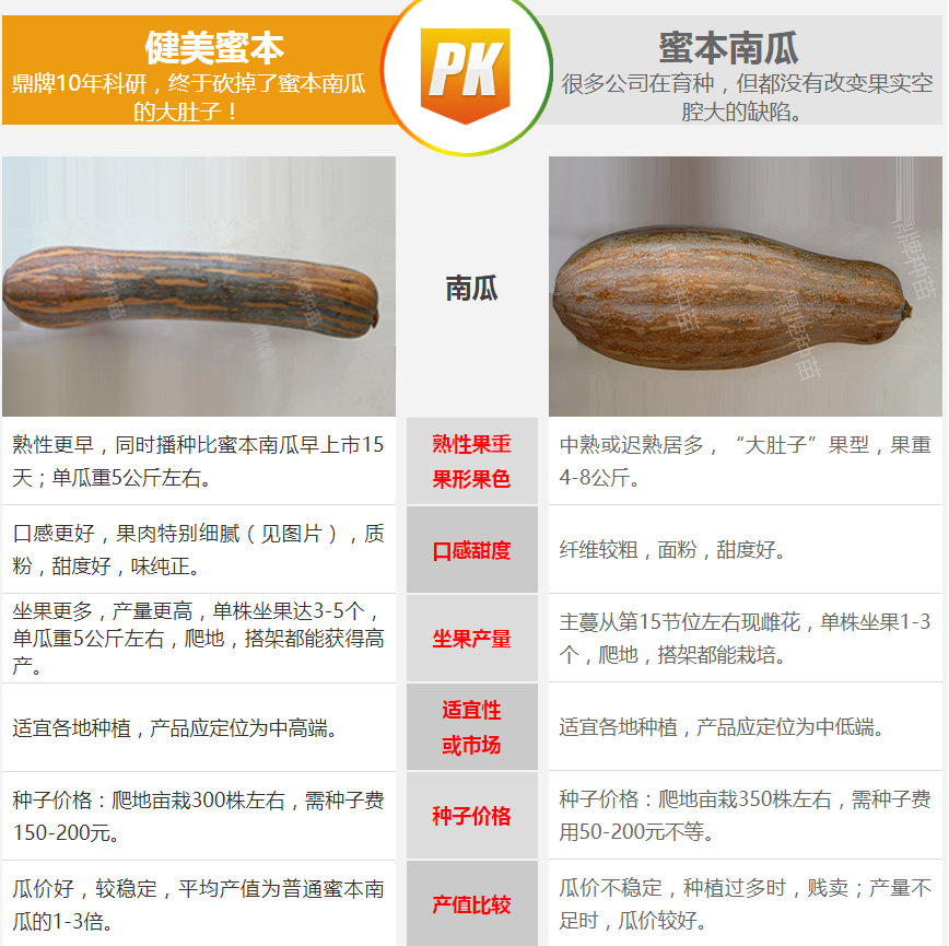 生吃都好吃南瓜新品種，沒(méi)有大肚子，肉質(zhì)更密致，農(nóng)戶試種下