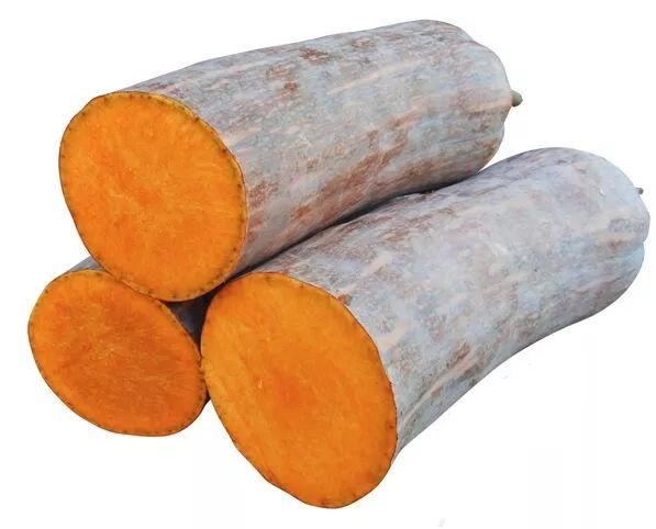 生吃都好吃南瓜新品種，沒(méi)有大肚子，肉質(zhì)更密致，農(nóng)戶試種下