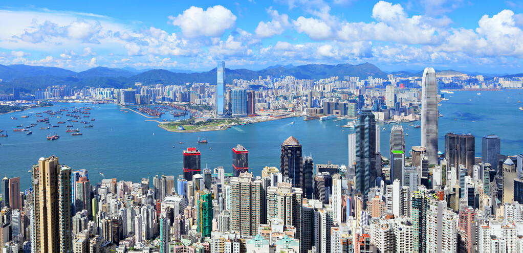 這個絲瓜畝產(chǎn)可達8000公斤，菜農(nóng)2021年致富的絲瓜品種