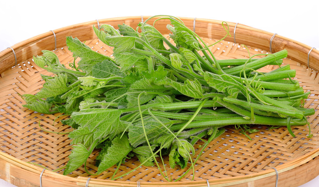 種這種綠葉菜，栽培輕松，畝產(chǎn)值過(guò)萬(wàn)元，菜農(nóng)表示很劃算