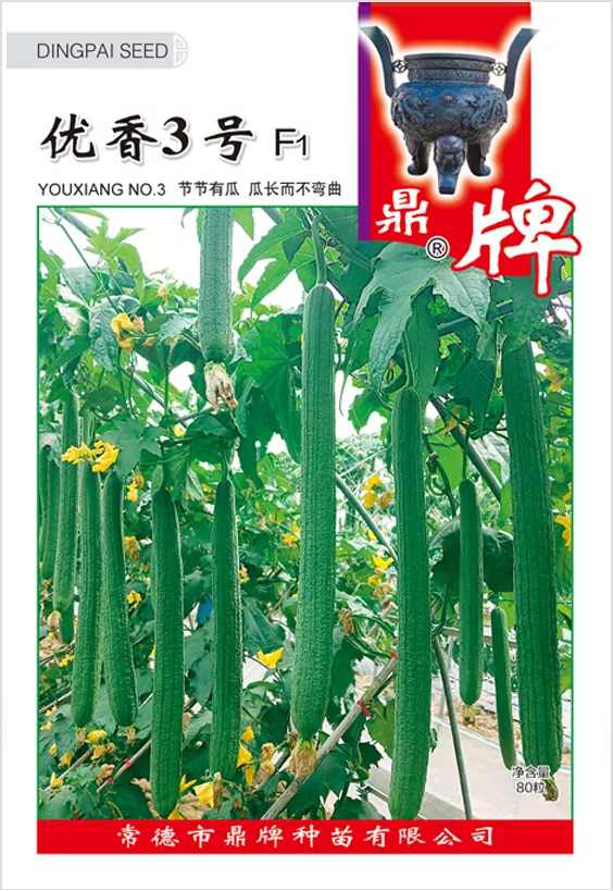 它是絲瓜種植戶的新選擇，節(jié)節(jié)有瓜，瓜長而不彎曲