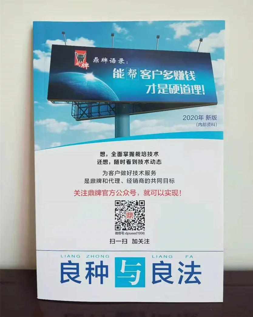 河南焦作的李向林今年種植甜瓜新品種，客戶直接拉貨走人