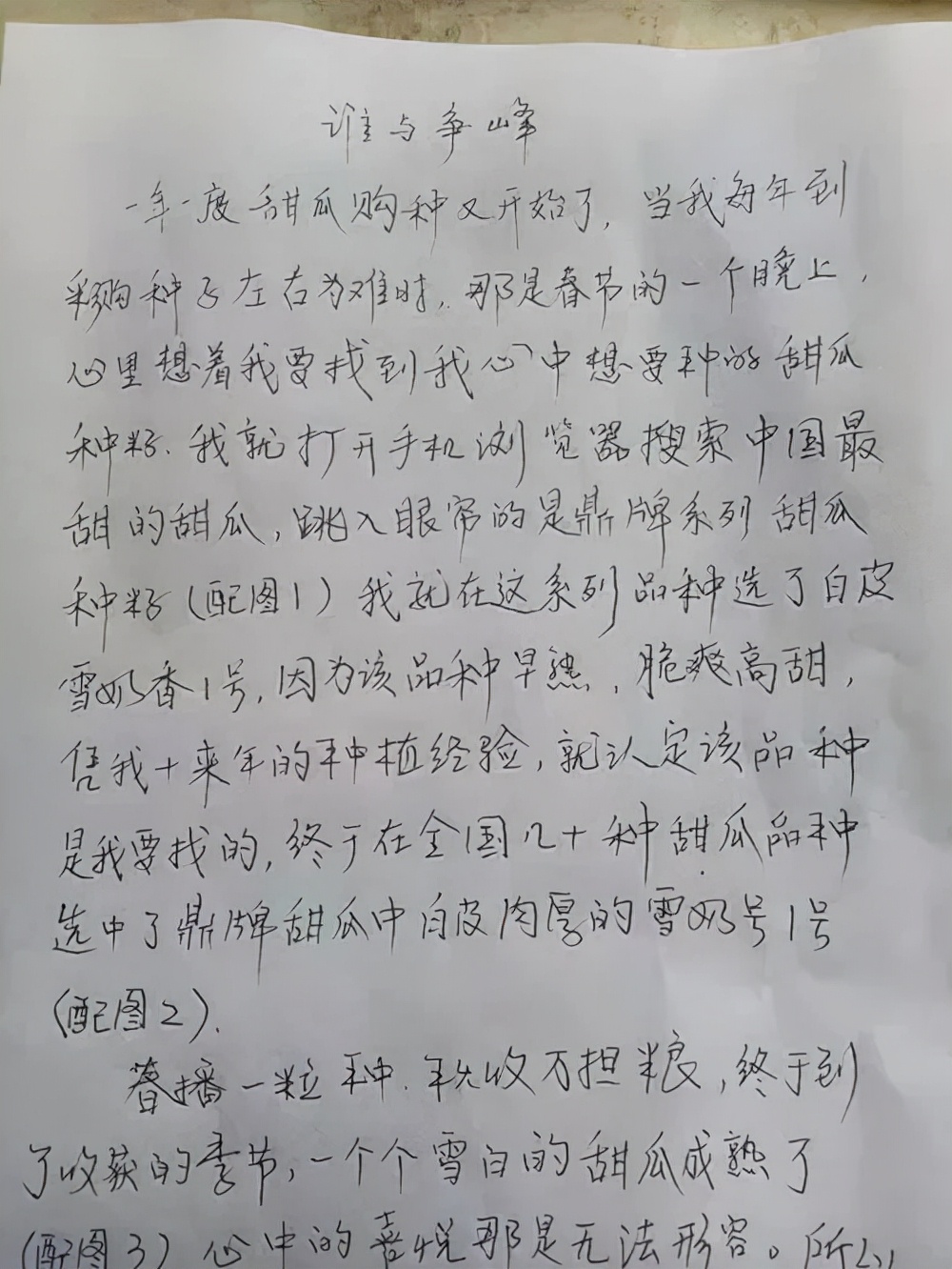 河南焦作的李向林今年種植甜瓜新品種，客戶直接拉貨走人