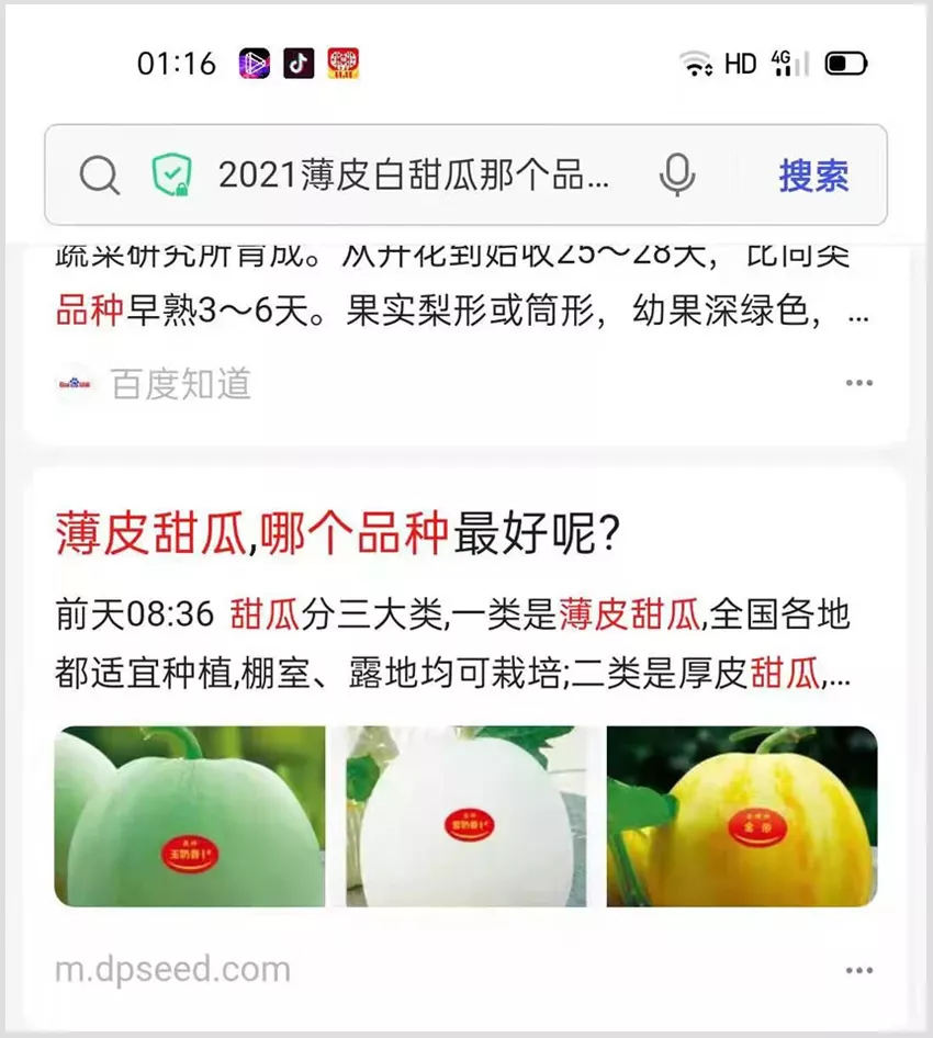 河南焦作的李向林今年種植甜瓜新品種，客戶直接拉貨走人