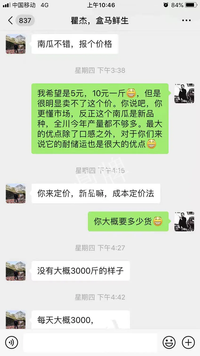 四川農(nóng)戶今年種“健美蜜本”南瓜產(chǎn)量高，品質(zhì)好，感覺巴適得很