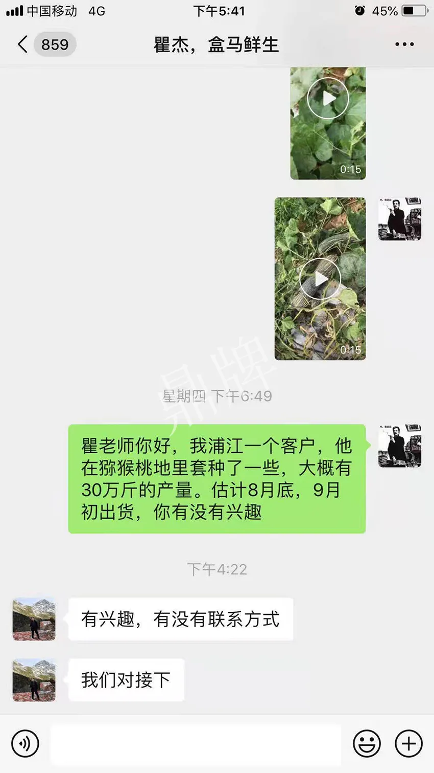 四川農(nóng)戶今年種“健美蜜本”南瓜產(chǎn)量高，品質(zhì)好，感覺巴適得很