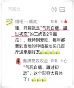蔬菜種子種植戶客戶點(diǎn)評(píng)-“氣死白糖，甜過(guò)初戀”，您知道或體驗(yàn)過(guò)這句話嗎
